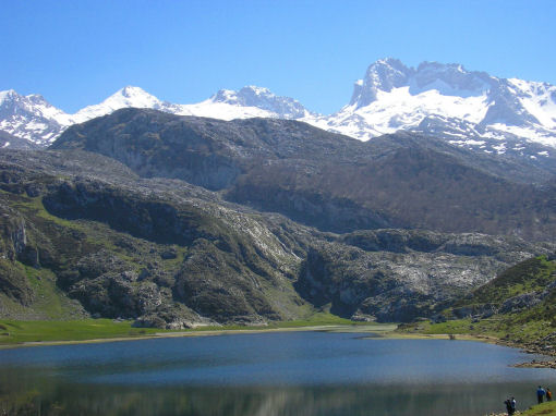 covadonga parco