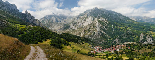 verso andara parco