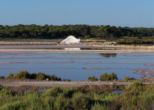 SALINE MINORCA, IBIZA, MAIORCA, FORMENTERA