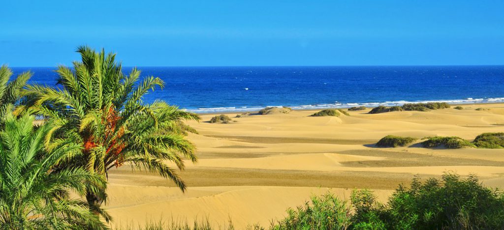 trasferirsi alle canarie