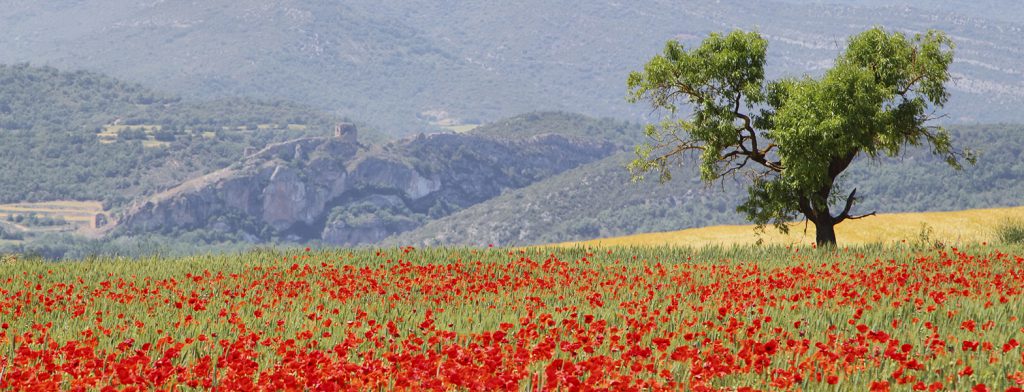 trasferirsi in Spagna